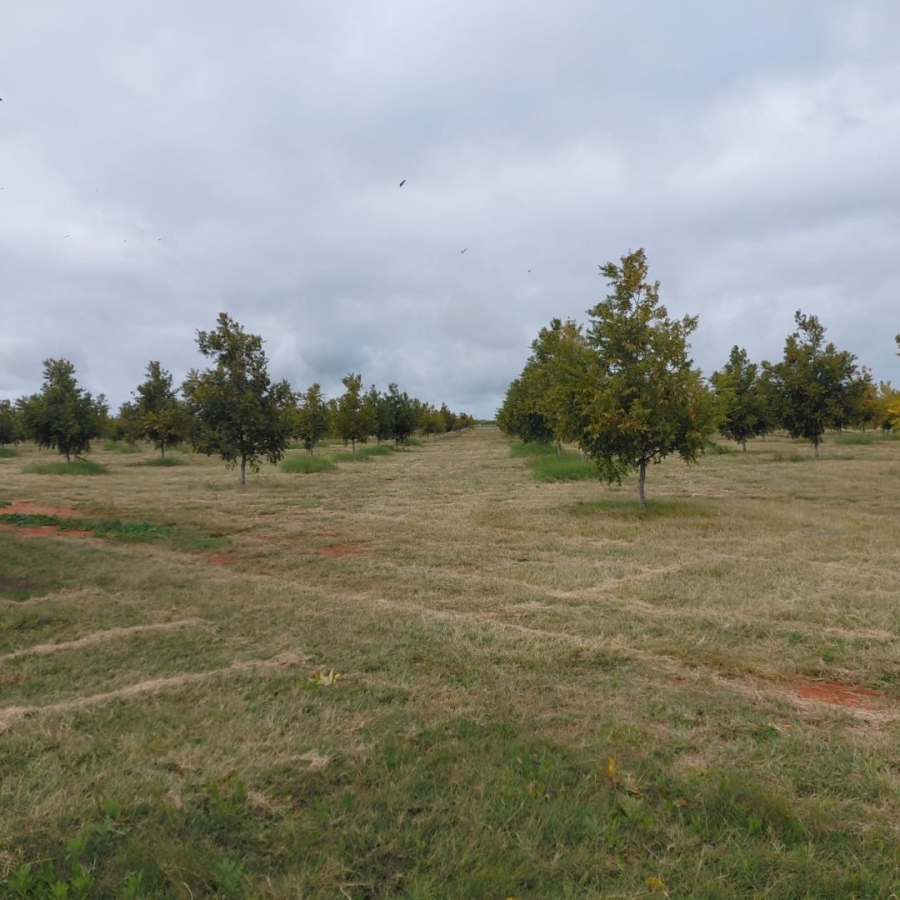 Commercial Property for Sale in Warrenton Northern Cape